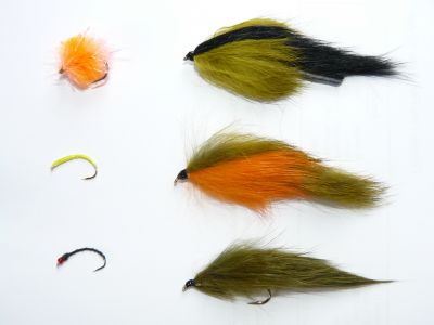 Blyths Catching Patterns for Jubilee Lakes