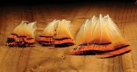 Feathers for Tying