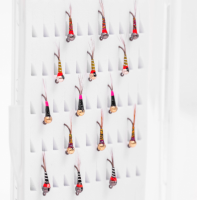 Special Clearance Offers