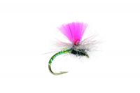 Flies