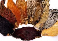 Feathers for Tying