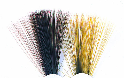 Tail Fibres - Fibbets. Reduced