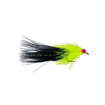 Caledonia Black Shaggy Cat #10