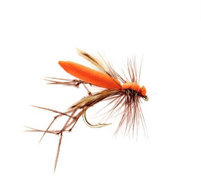 Daddy - Real Orange #10