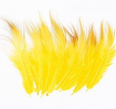 Golden Pheasant Body Feather Substitute. Yellow