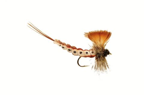 Plastazote Brown Mayfly #6