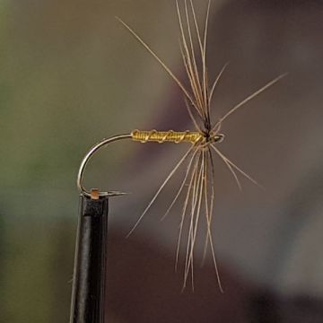 Tyings for the Ribbed Greenwell's Spider