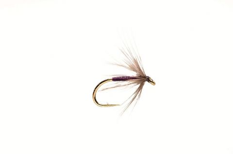 Wet Fly - Snipe & Purple #12