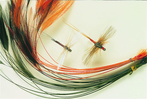 Ready Stripped Hackle Quills
