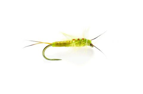 O Edwards Yellow Sally Stonefly Nymph #14 - Barbless