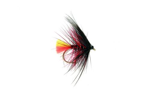 Wet Fly - Clan Chief #12