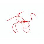 Caledonia Red Beaded Quad Worm #10