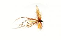 Daddy Long Legs - Raffia #10