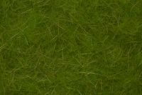 Caddis Green