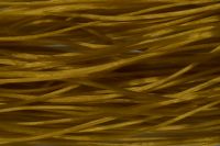 Golden Olive