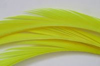 Fl Yellow