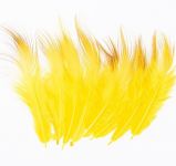 Golden Pheasant Body Feather Substitute. Yellow