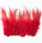 Golden Pheasant Body Feather Substitute. Red