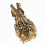 Hares Mask - Natural