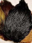 Indian Dry Fly Rooster Neck (Cock Cape), Black