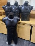Four Male Torso