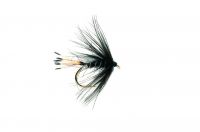 Wet Fly - Black Pennell #12
